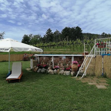 La Casa Dei Nonni Villa Chianni Luaran gambar